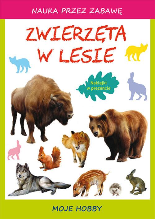 

Zwierzęta w lesie Moje hobby Beata Guzowska, Tina