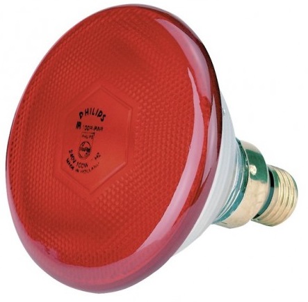 

Żarówka Promiennik Kwoka Philips 175 W Czerwona