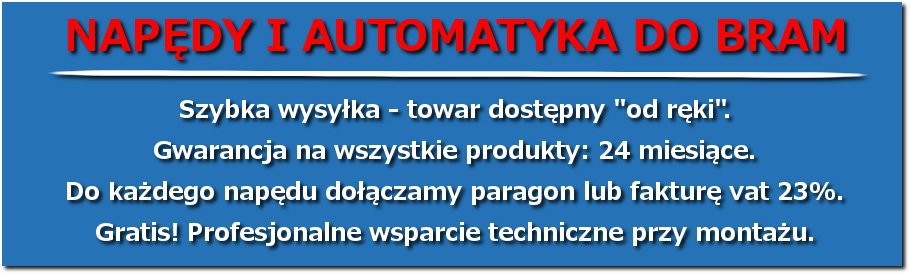 CAME SPACE SP2 RED PILOT 2-KANAŁOWY DO BRAM Oryginalny Kod producenta SP2