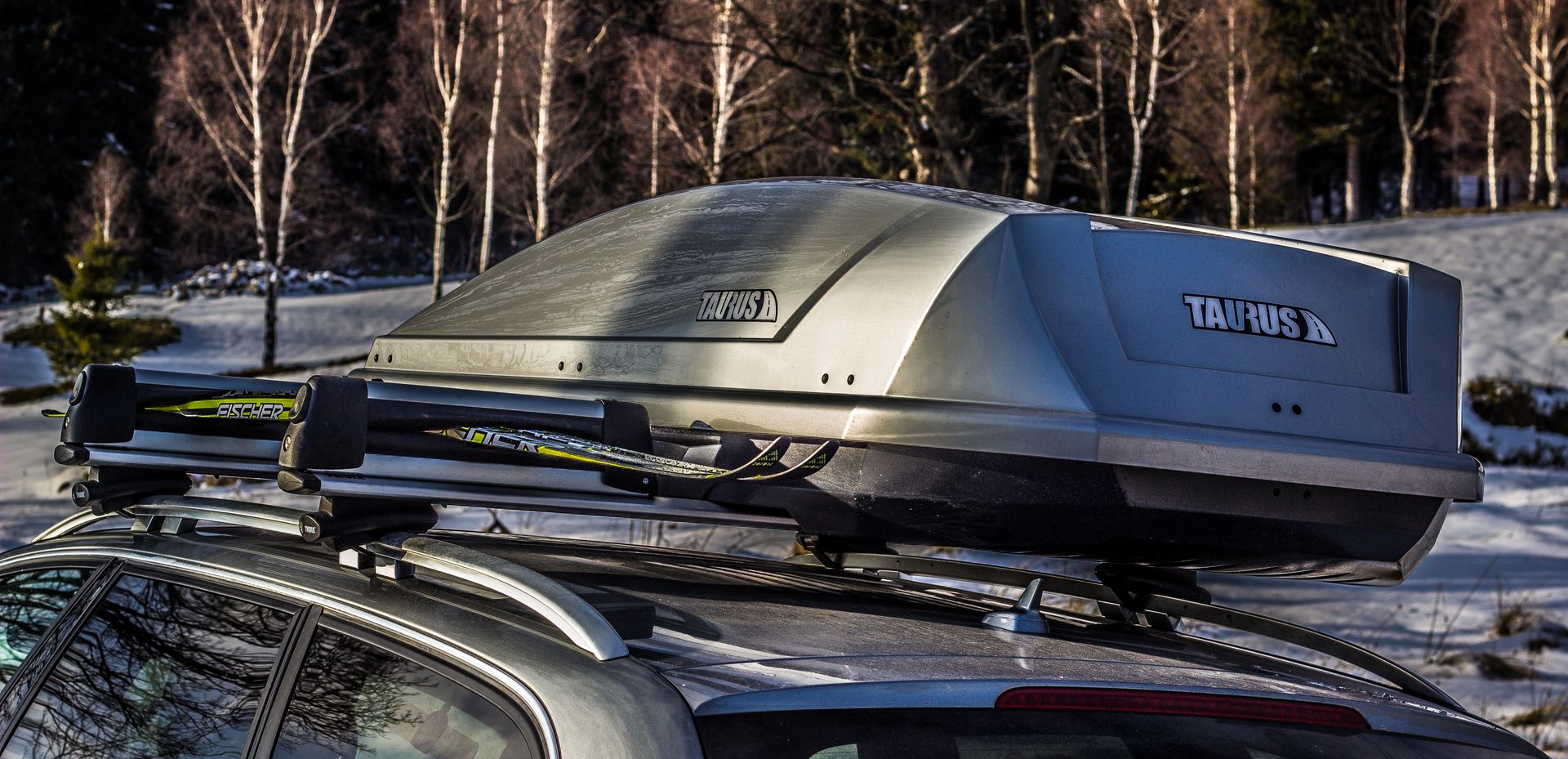 TAURUS SnowUp 600 uchwyt narciarski alu 6 par nart Ładowność - deski snowboardowe 4