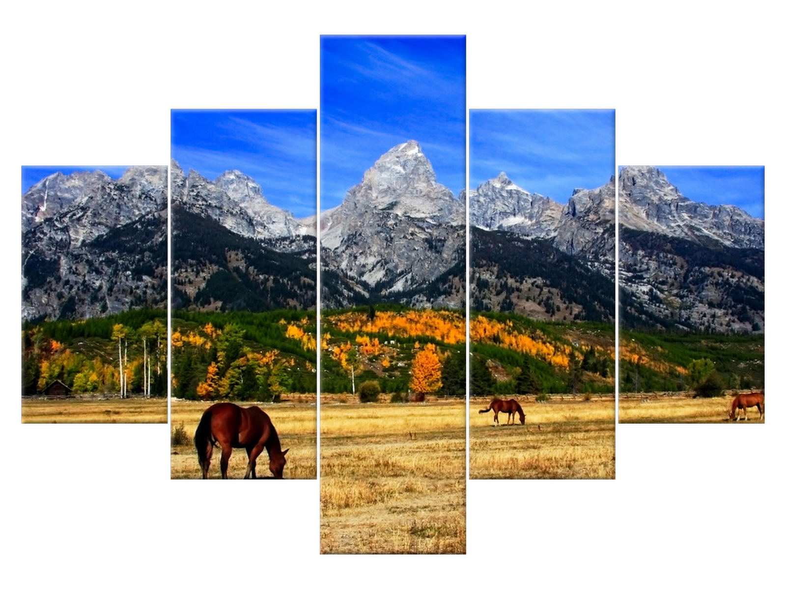

Obraz Grand Teton Zwierzęta 100x70 1670A_5A