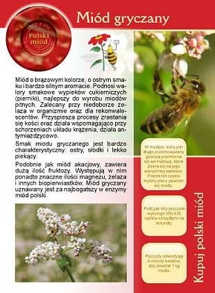 

Broszurka informacyjna Miód gryczany (20szt) U4