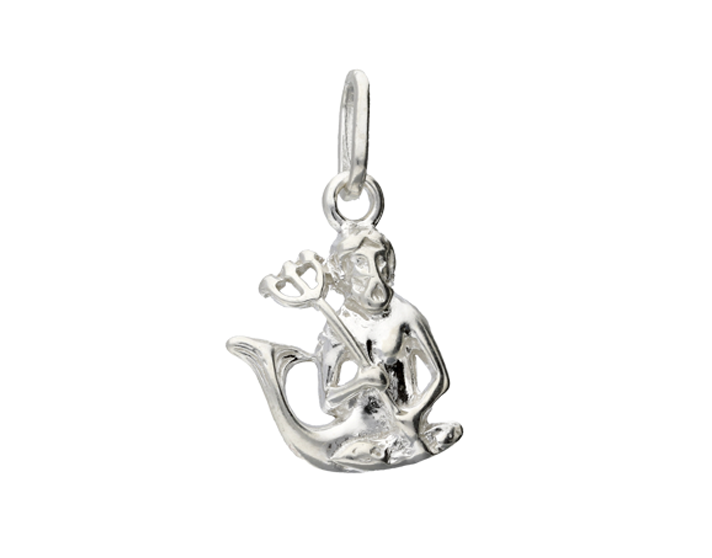 

Wisiorek Srebrny Znak Zodiaku Srebro 925 Wodnik