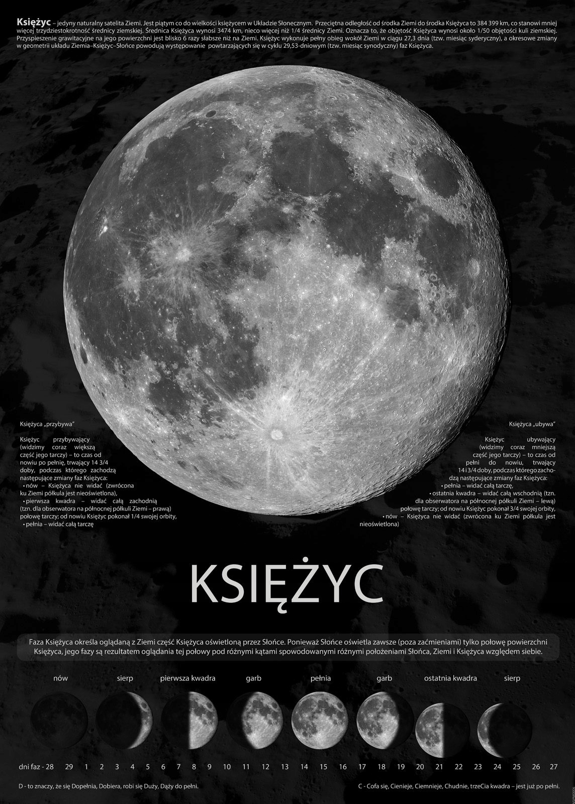 

Fazy Księżyca Informacje plakat 50x70 cm