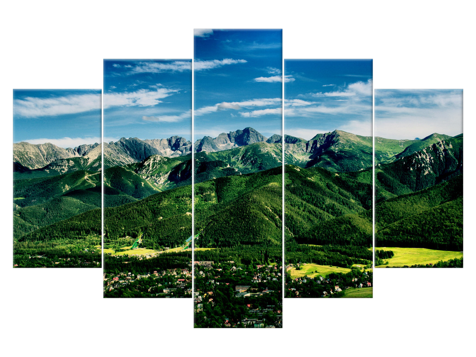 

Obraz Dolina w Tatrach Drzewo 150x100 1082A_5G