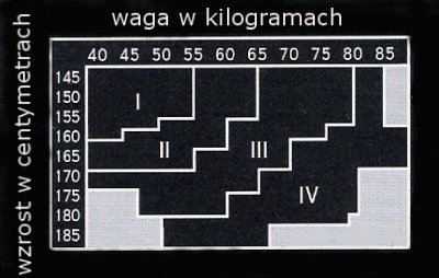 POŃCZOCHY 20 DEN SZEROKA KORONKA 15 cm Paris 3/4 Materiał dominujący lycra