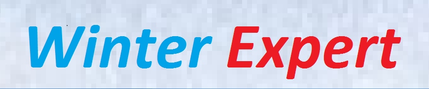 KIWOK WSKAŹNIK BRAŃ MORMYSZKA PIRS POLIMER PK.NR.2 Waga 1 g