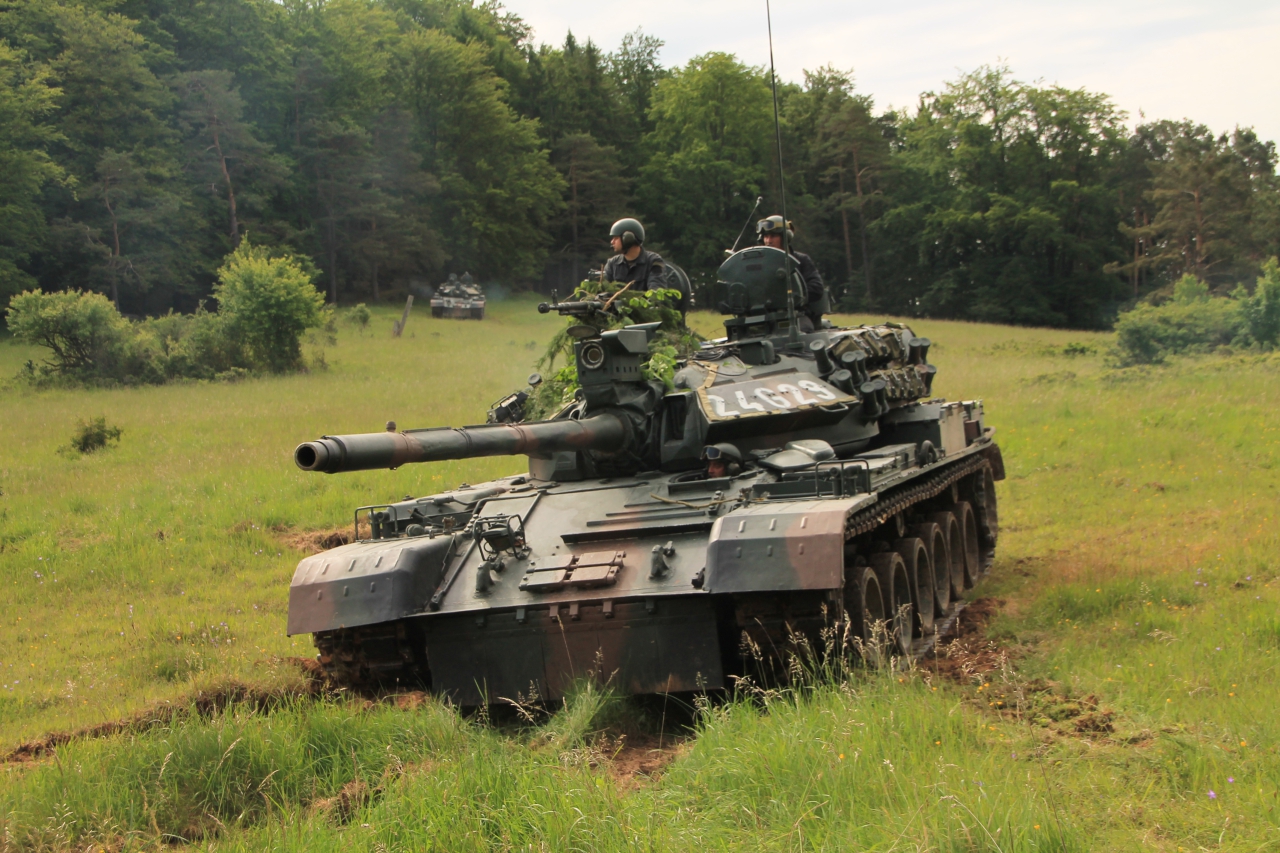 Настенные фрески танк футболисты динозавры - в размер