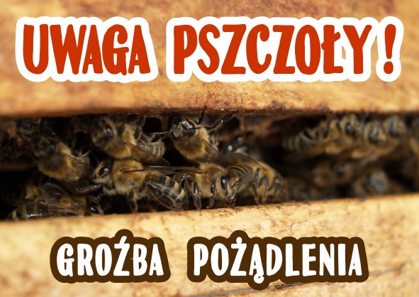 

Tablica Ostrzegawcza uwaga pszczoły 29,5 x 42 cm