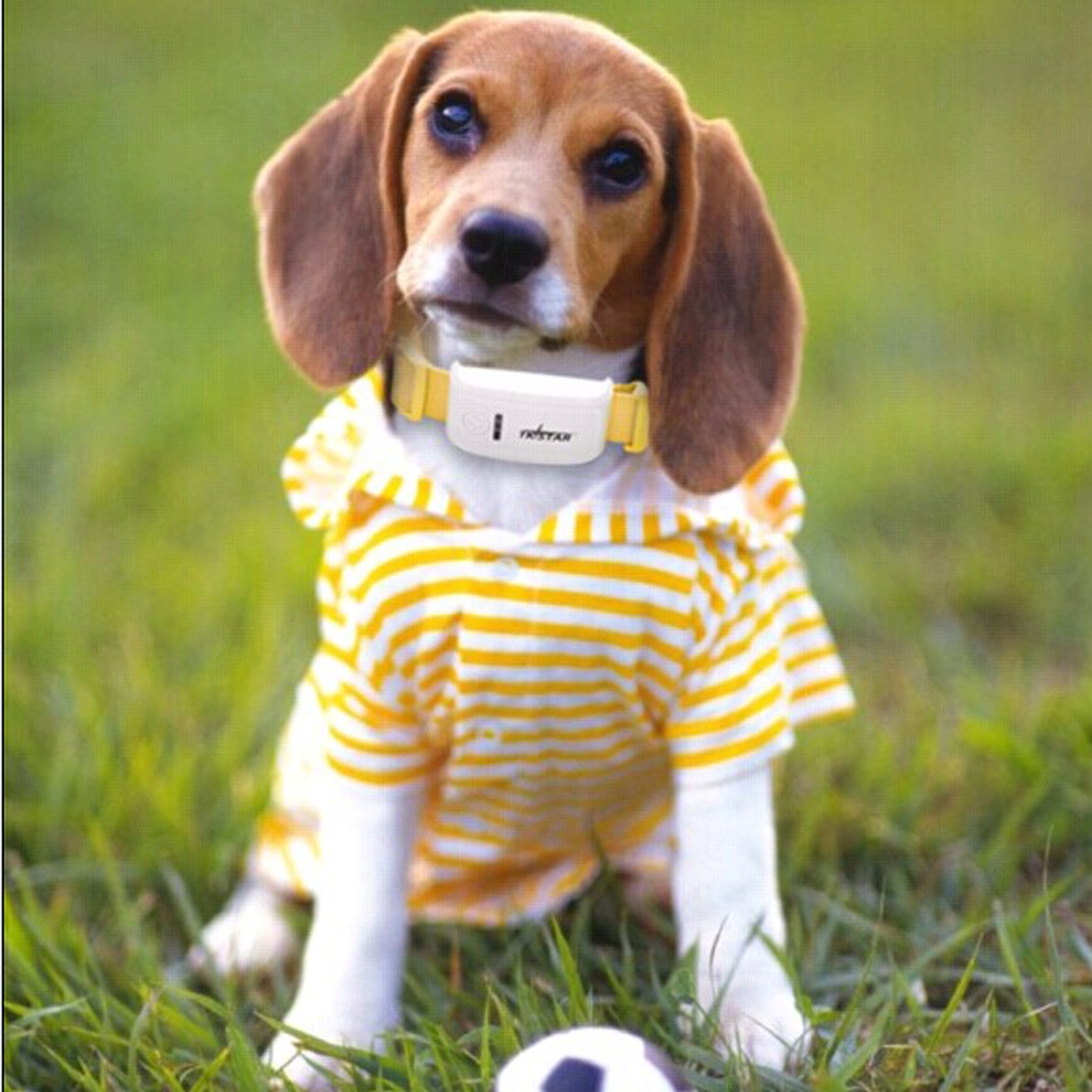 OBROŻA GPS - GSM DLA PSA KOTA TKSTAR ET09 TK909 Nazwa handlowa 00