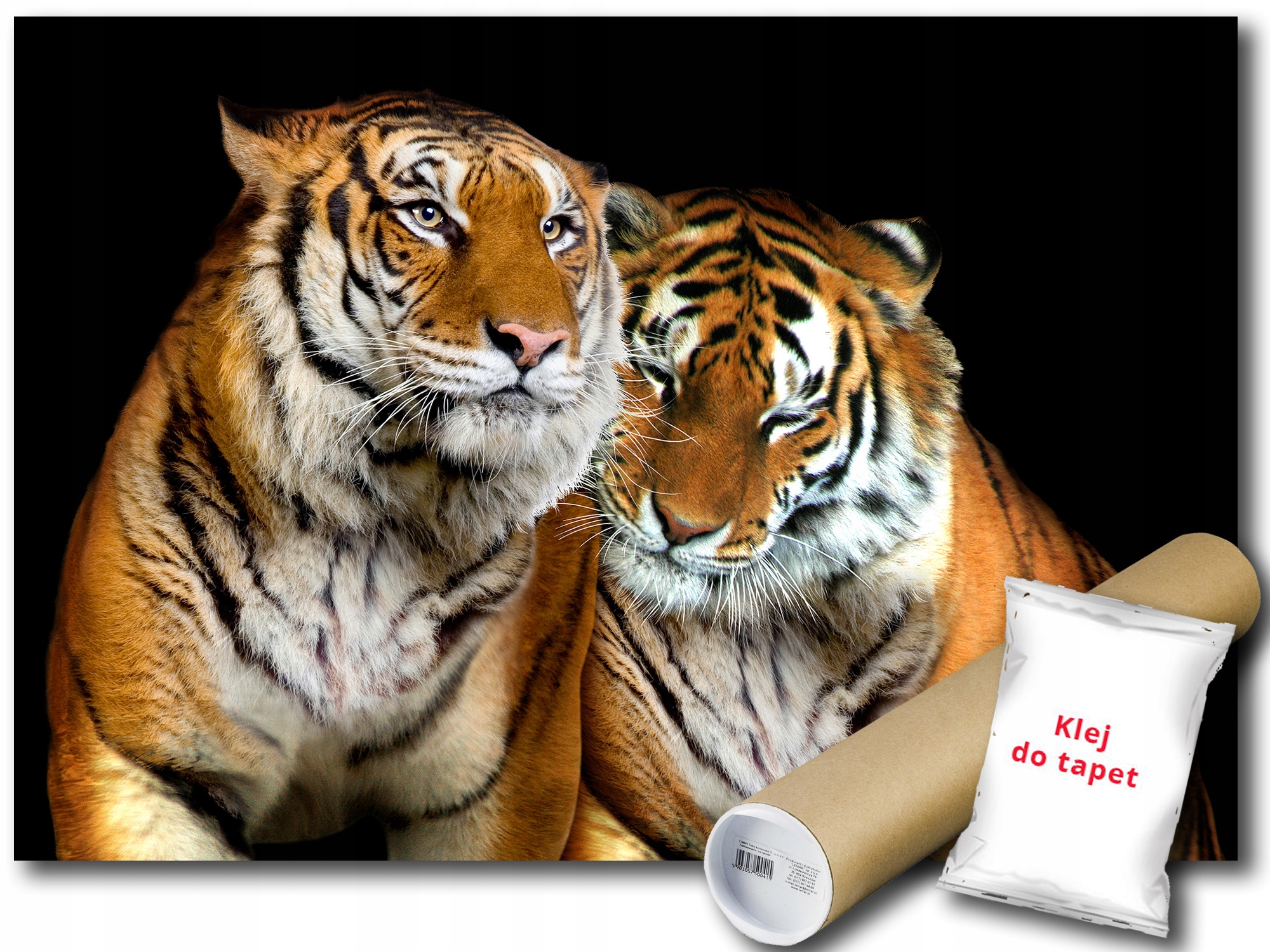 Fototapeta Tygrysy 12C F2XL 312x219 F130