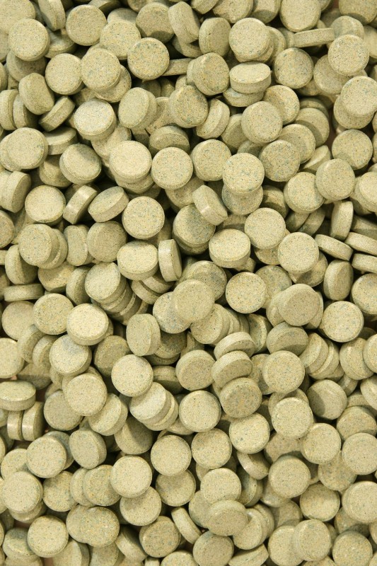 Levně Krmivo Pro Ryby Se Spirulinou Algentablet 10% Tablety 1000 G Krmivo Pro Ryby