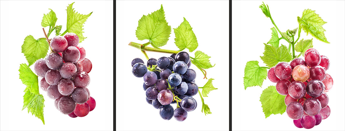 

Naklejki dekoracyjne na ścianę Ds 47x100cm