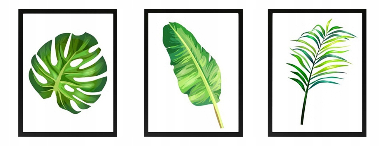 

Komplet Plakatów botanicznych A4 liście monstery
