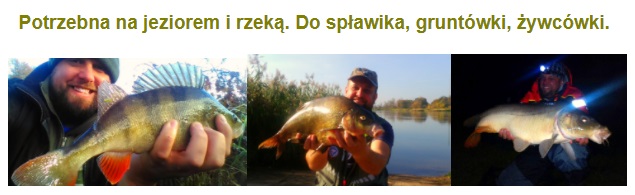 SZCZYPCE ZACISKOWE kleszcze stal chirurgiczna 10cm Marka inna