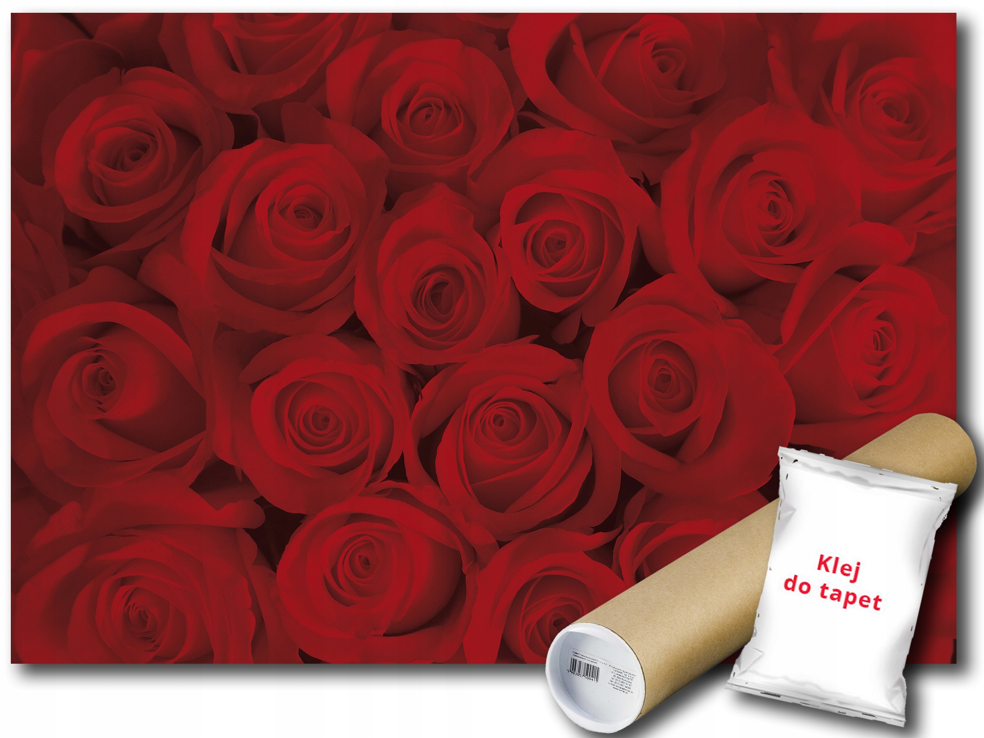 Fototapeta Červené Růže 9B F3XL 416x254 F240