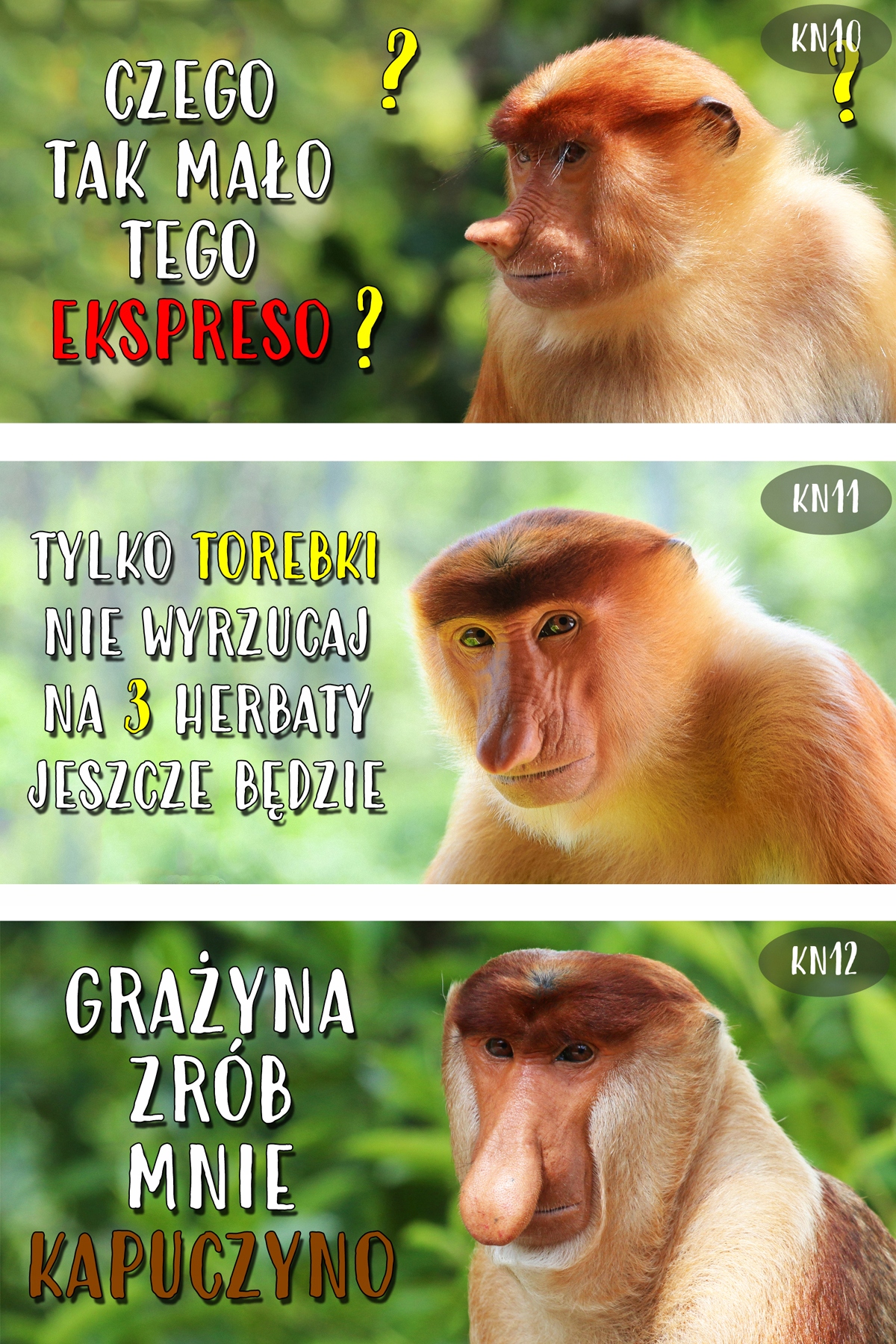 KUBEK NOSACZ Janusz Grażyna - dowolny własny tekst Marka WW