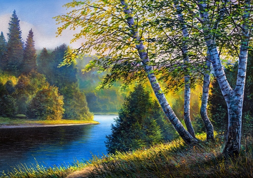 

Fototapeta 3D Park Las Drzewa Widok