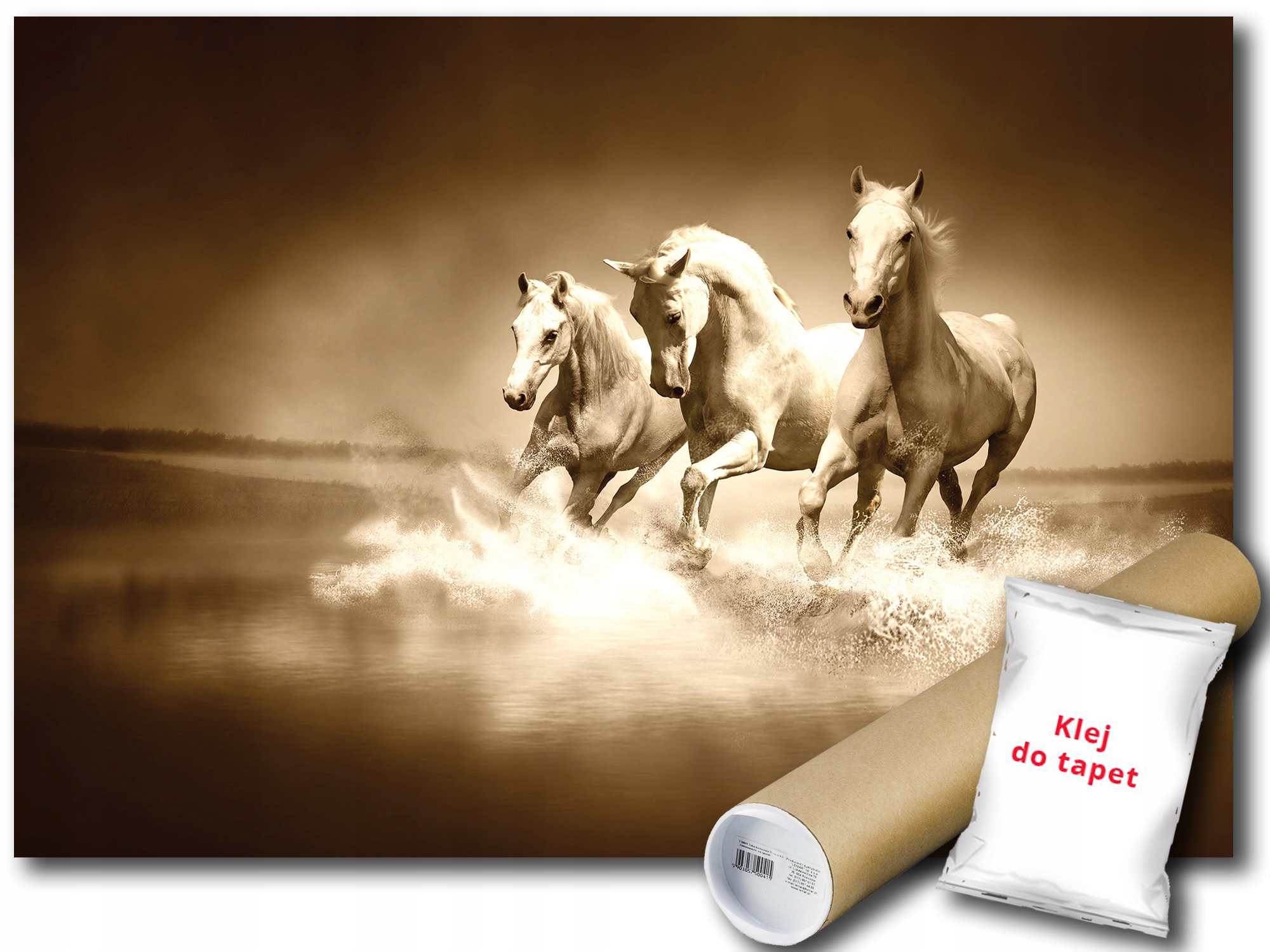 Fototapeta Koně Galop 12B V4 254x184 F427