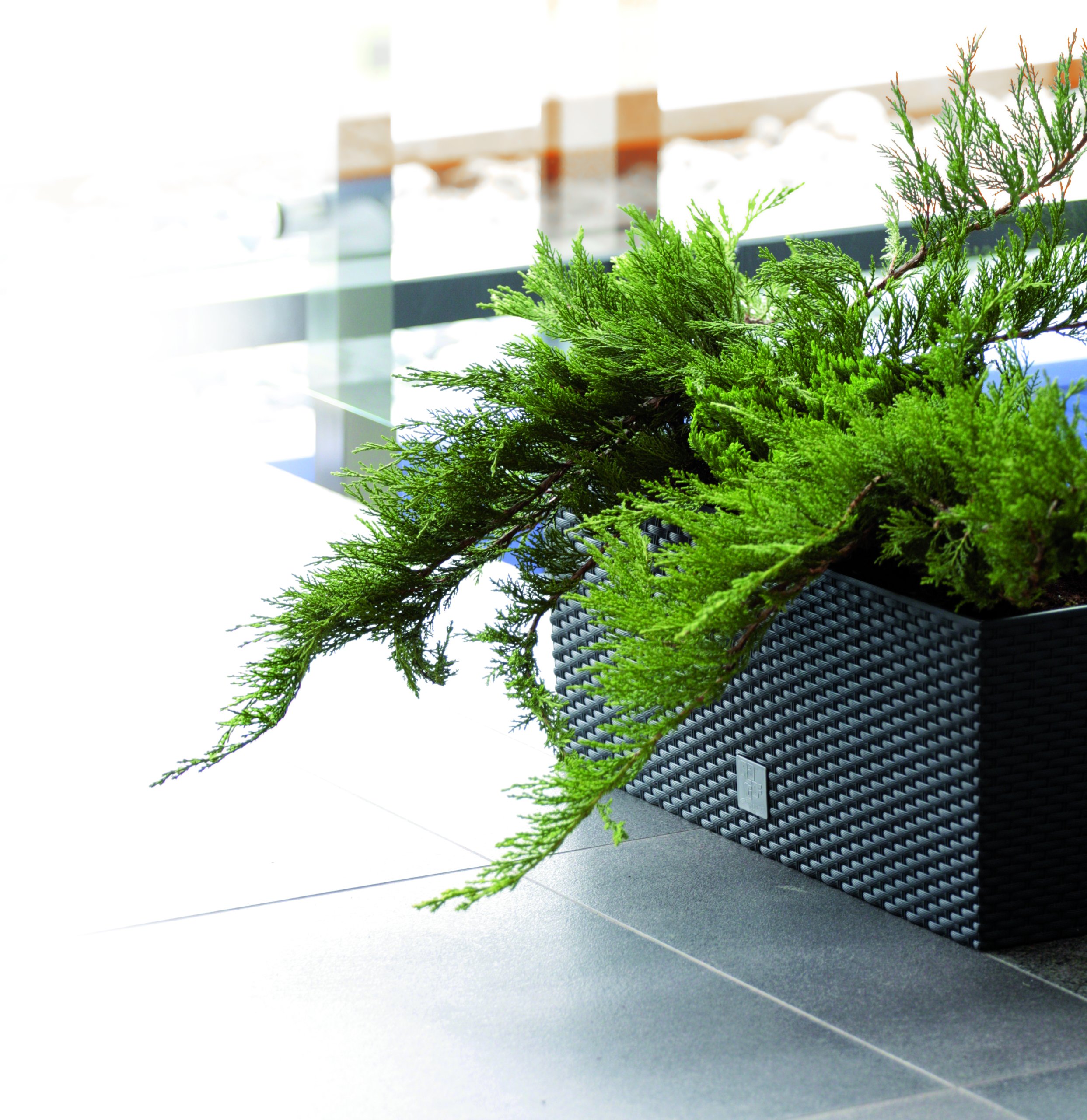 Doniczka + system nawadniania 50cm Podłużna Balkon Wysokość produktu 18.5 cm