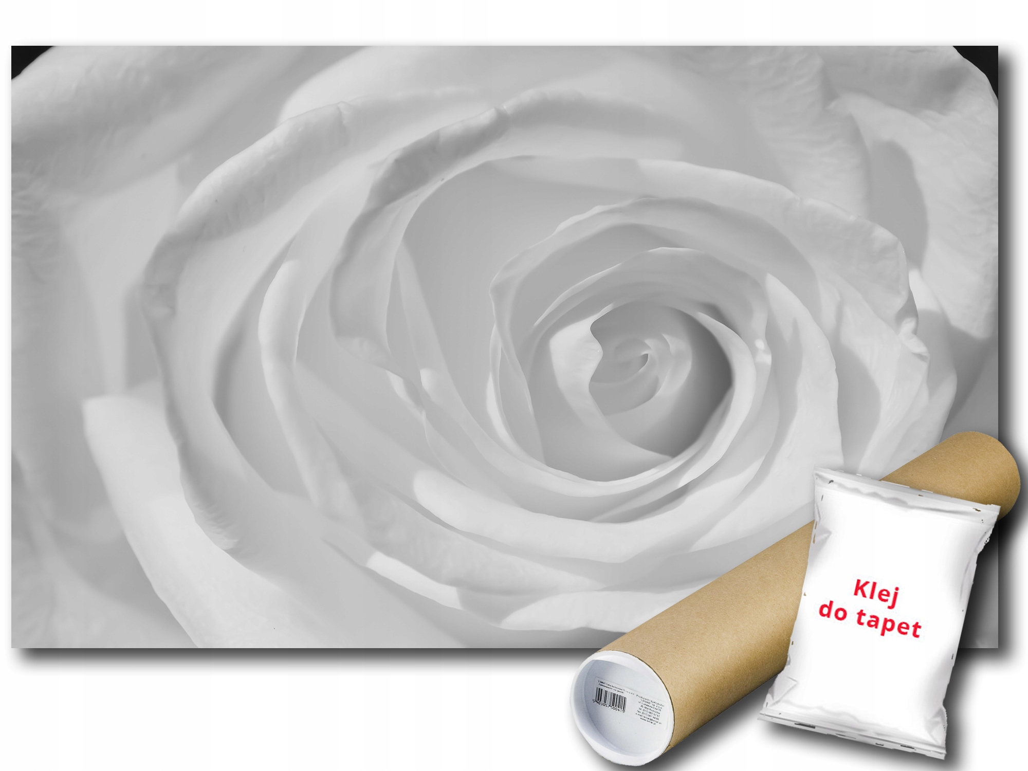 Fototapeta Bílá Růže Květ 9B V8 368x254 F659