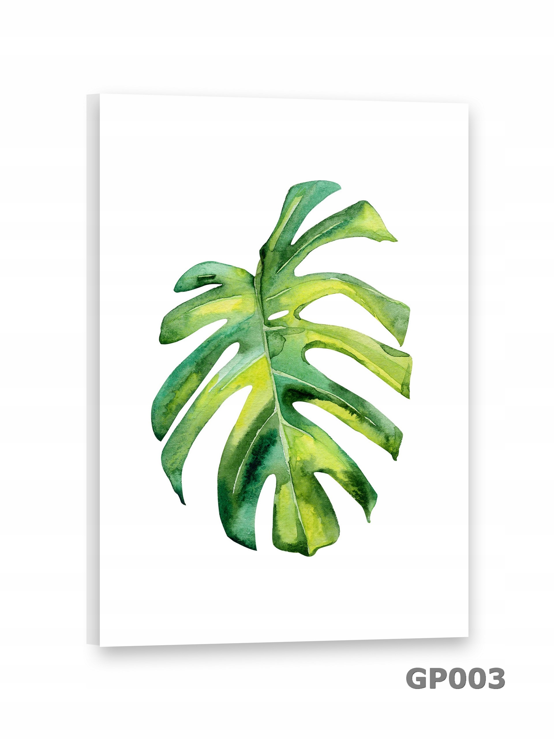 # LIŚĆ Obrazy na płótnie 50x75 Obraz PALMA Marka inna