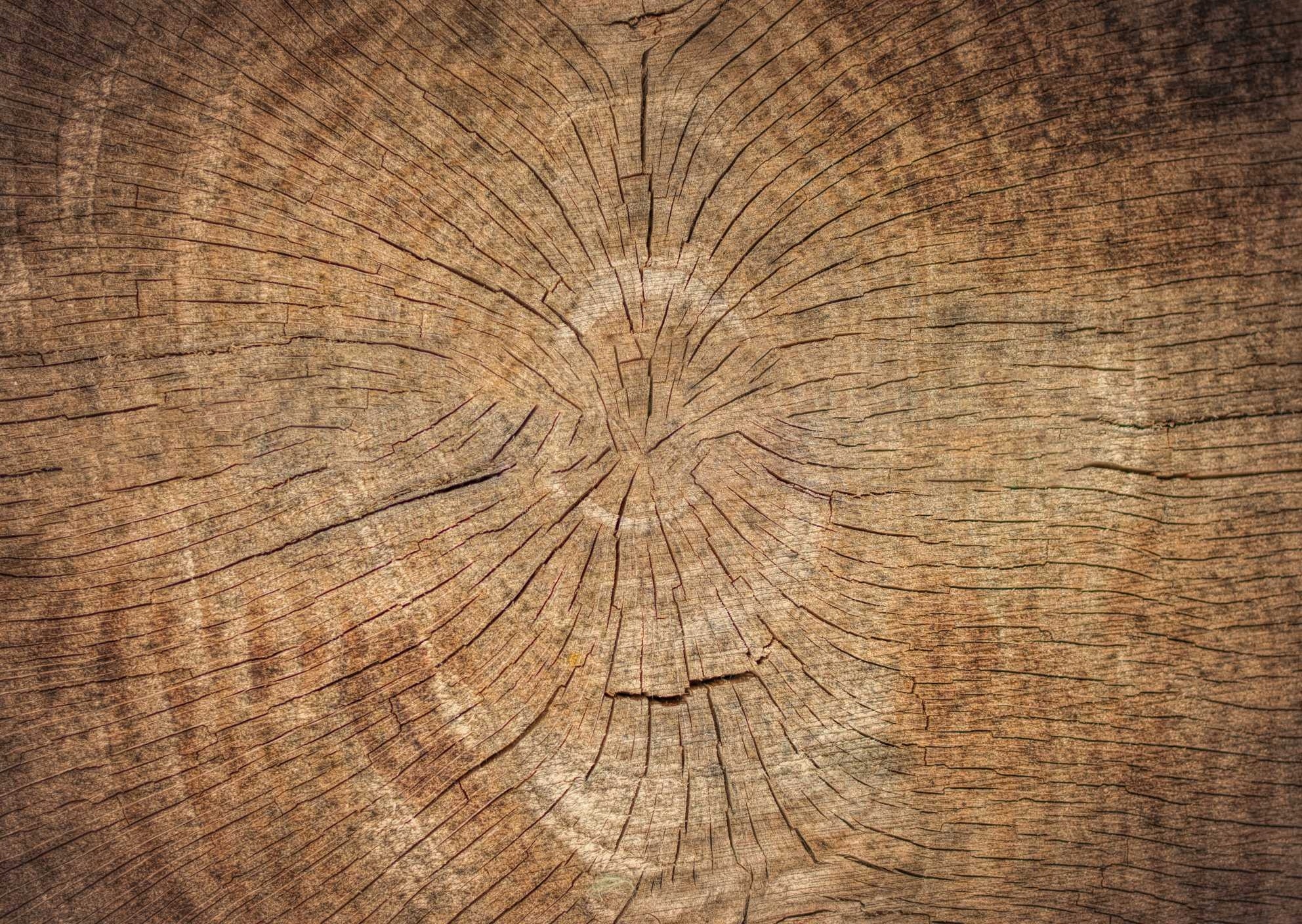 

Fototapety Fizelina Drewno Deski 260x173 Maxwybór