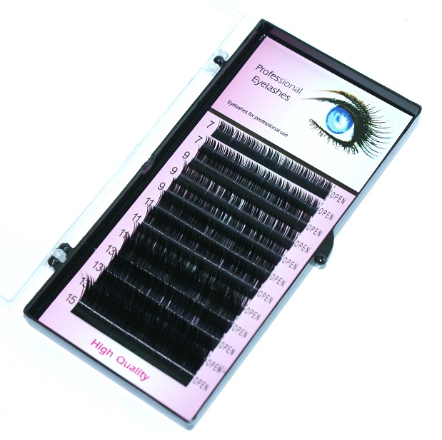 

Rzęsy Professional Eylashes R 0,10C 6mm