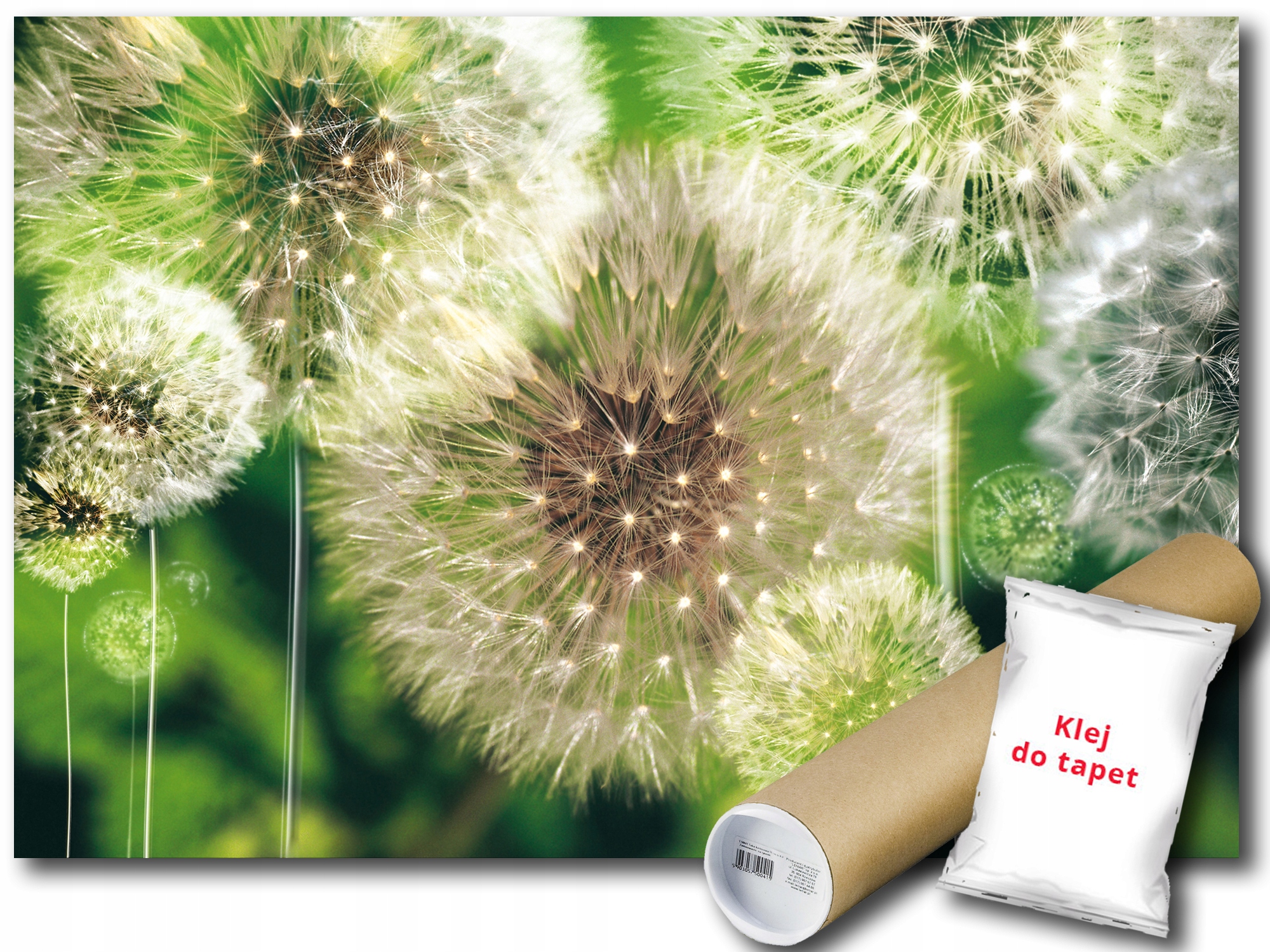 Fototapeta Dúchadlá 9A F3XL 416x254 F056