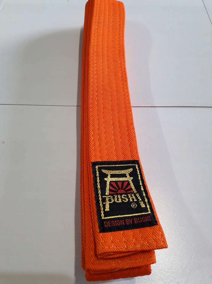 Pas karate taekwondo judo Bushi pomarańczowy 260cm Kod producenta 30.026
