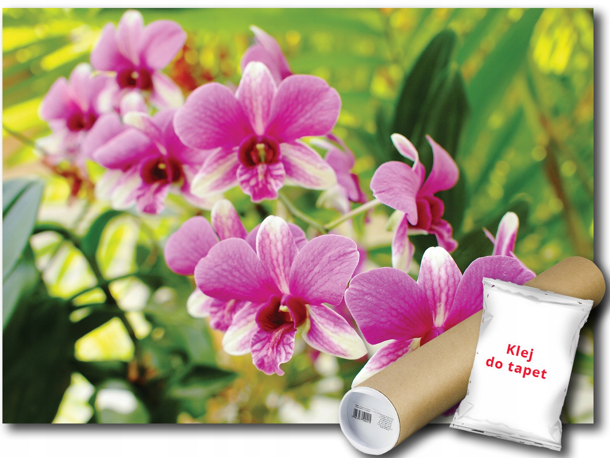 Fototapeta Ružové Orchidey 9D V8 368x254 F3402