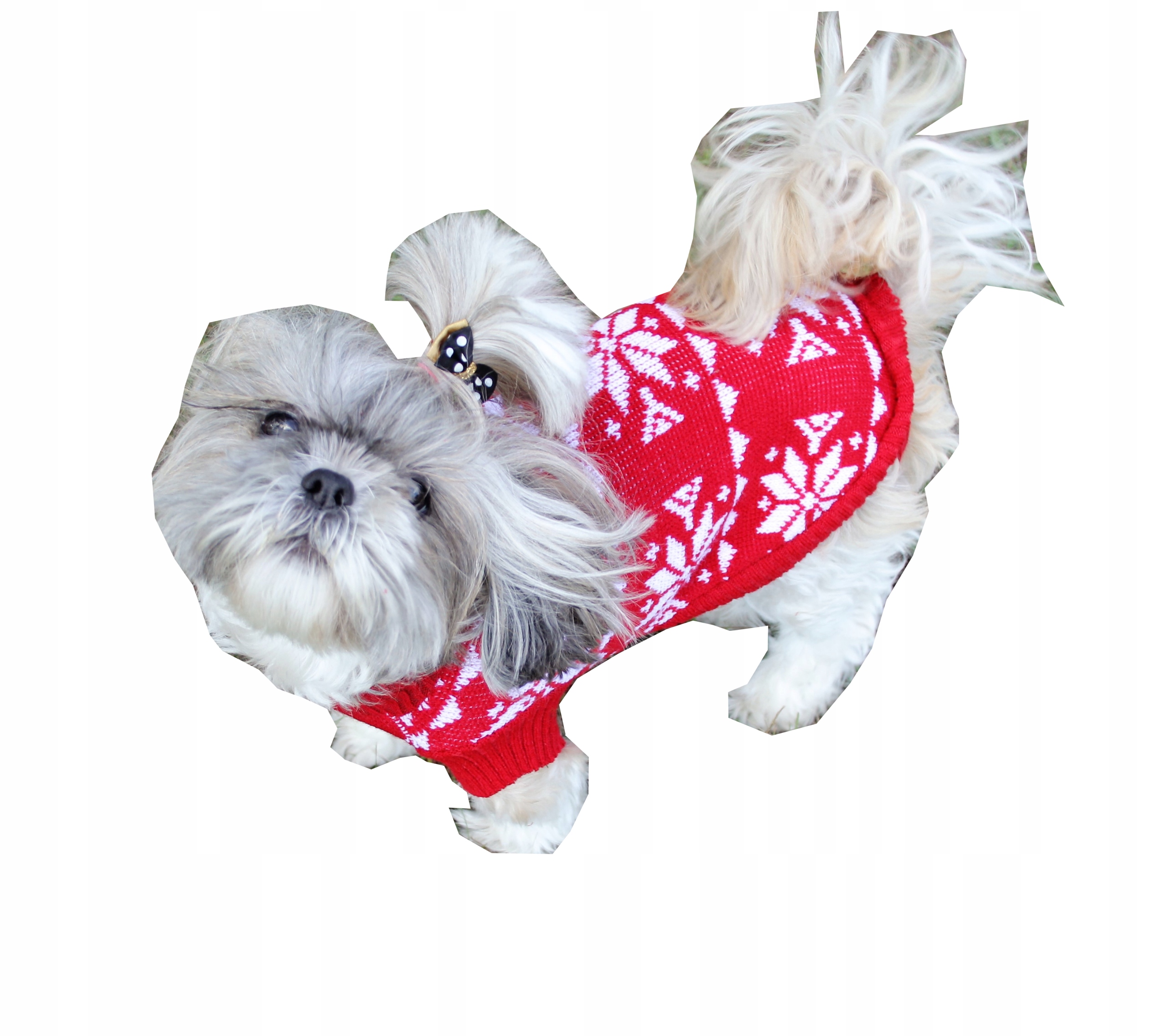 

Sweterek Ubranko Dla Pieska Shih-tzu Dł 30CM