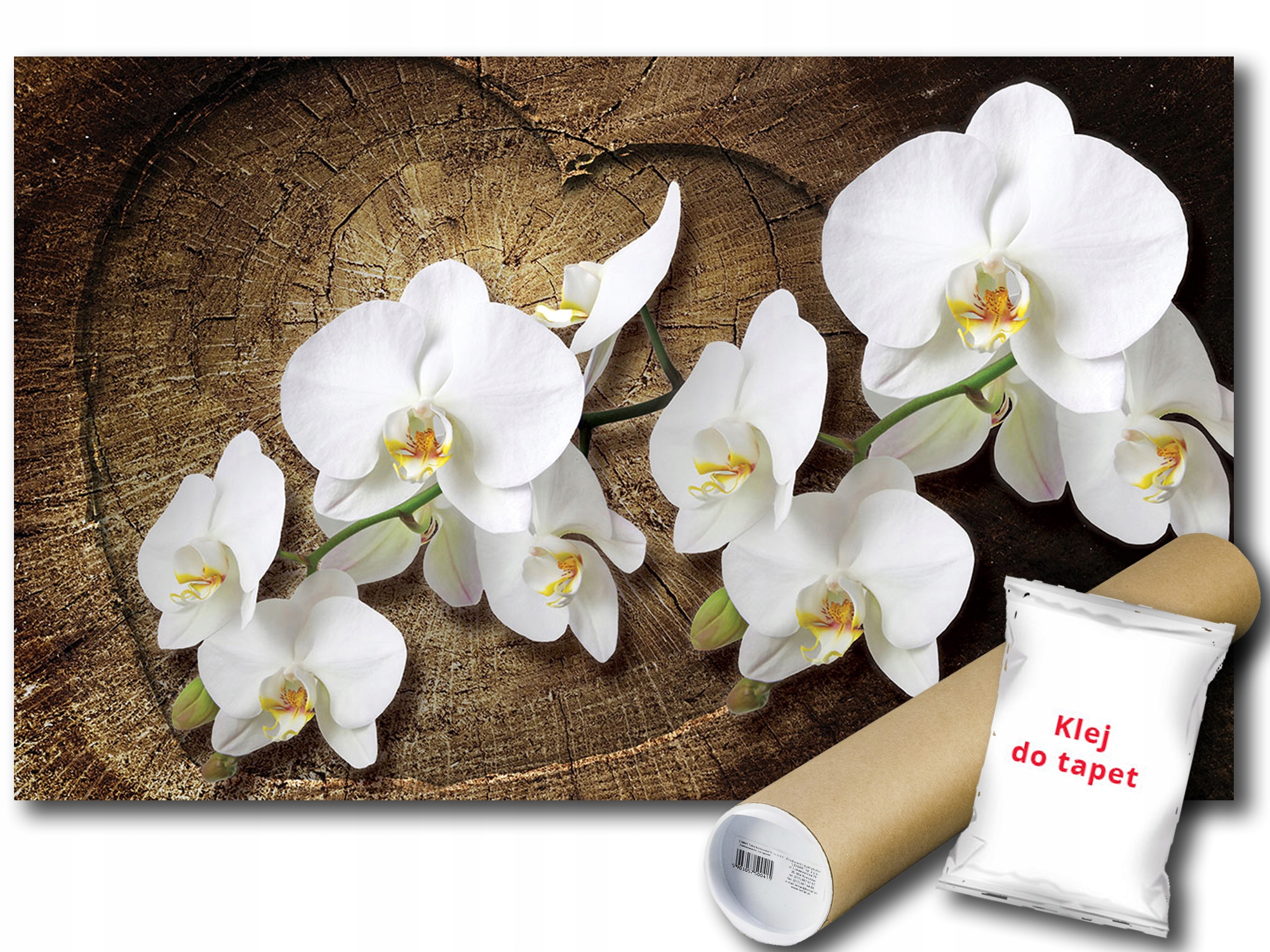 Fototapeta Dřevo Orchidej 6B F3XL 416x254 F1014