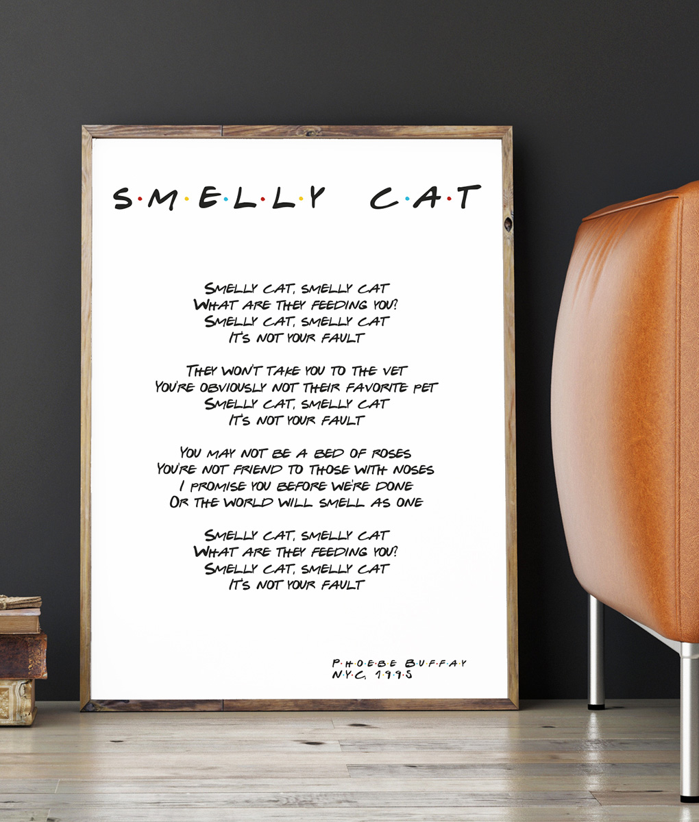 FRIENDS-плакат серіал Друзі A4 SMELLY CAT тема чорно-біле Кіно Гумор