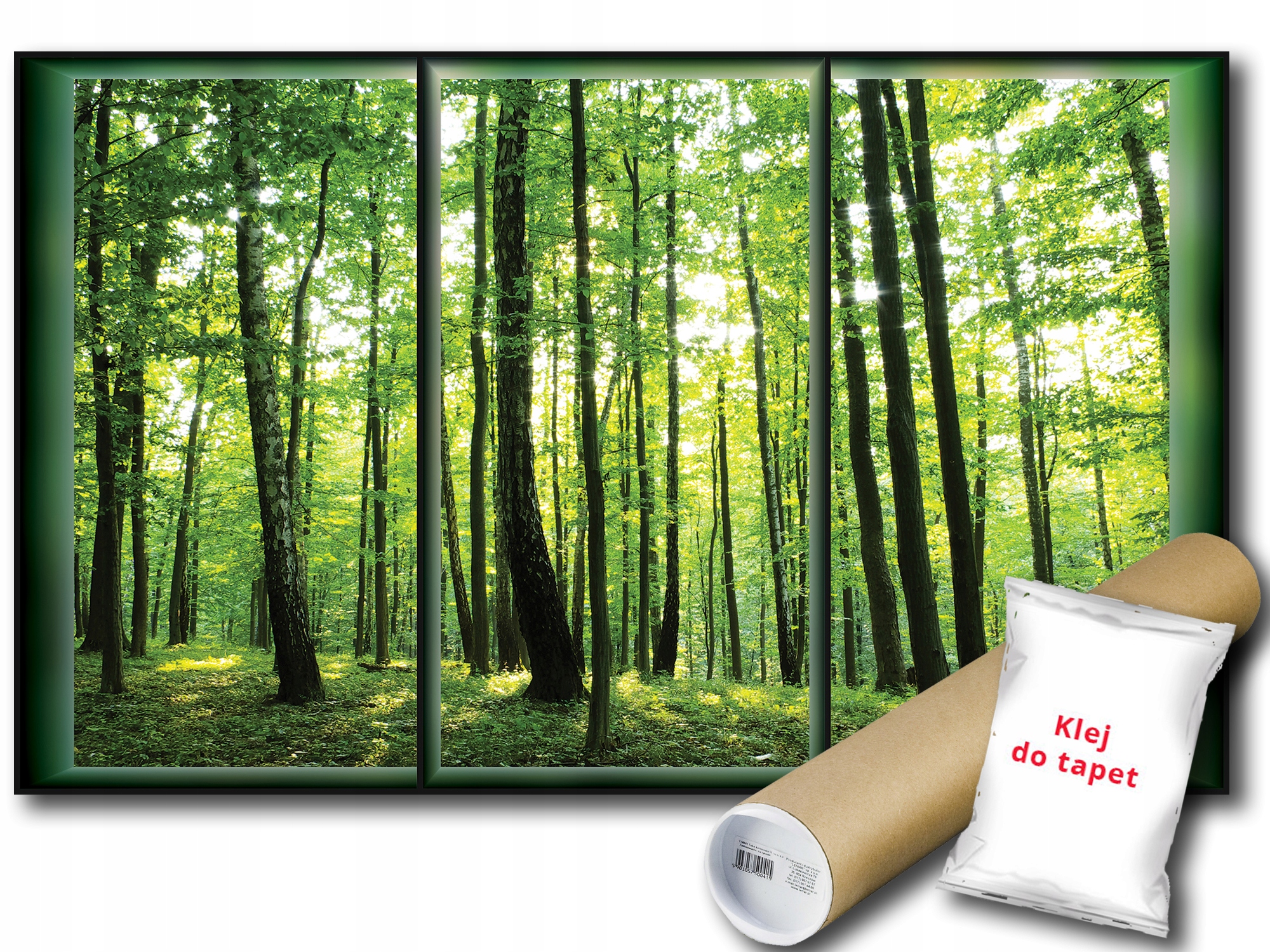 

Fototapeta Widok Na Las 18A V8 368x254 F495