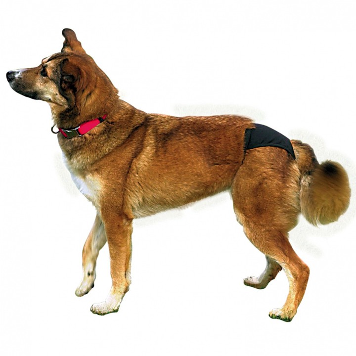 

Trixie Majtki Na Cieczkę XL 60-70CM Czarne