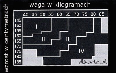 LEGGINSY GATTA 100 DEN MIKROFIBRA RÓŻNE KOLORY 2 Rozmiar 36