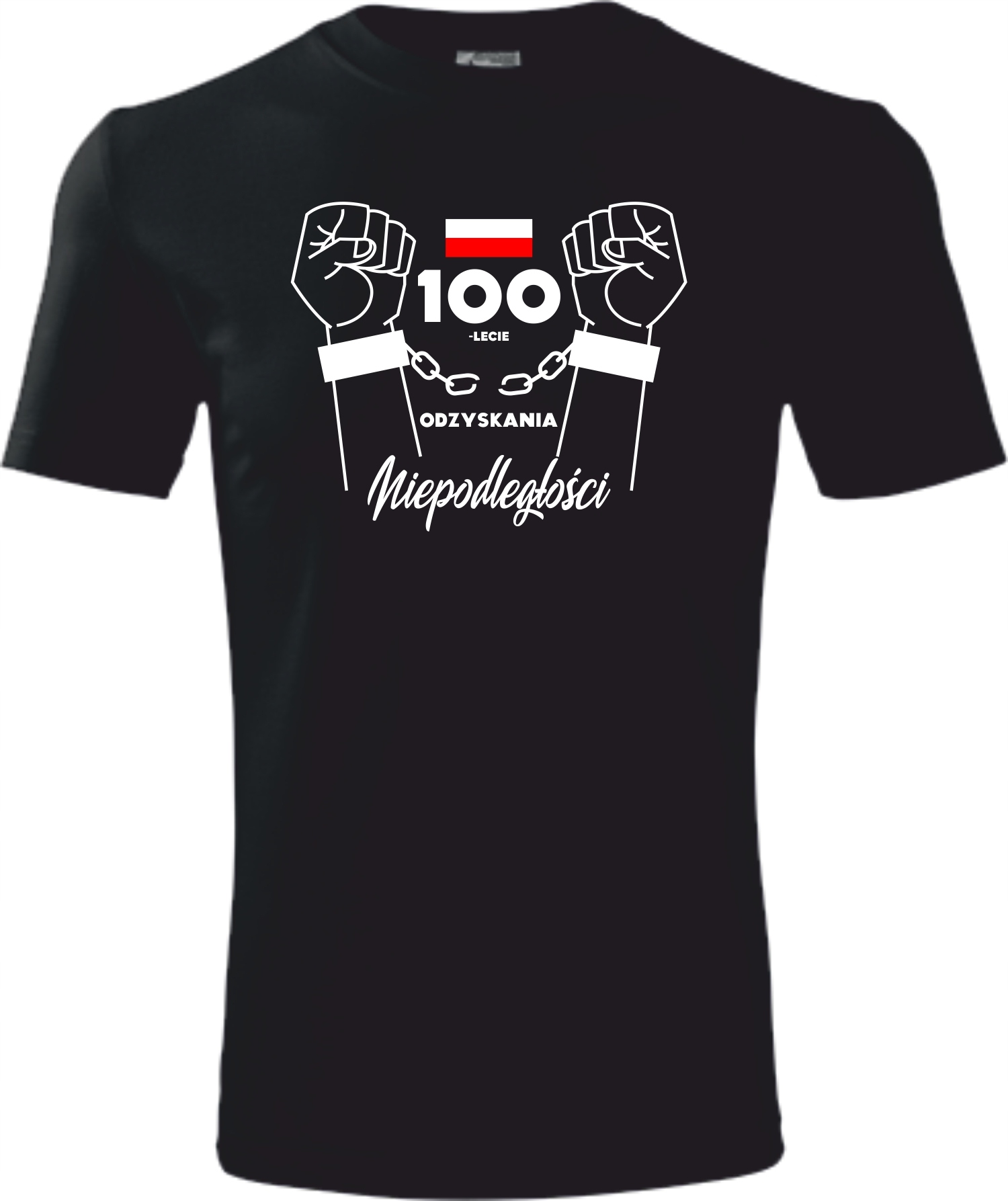 

Patriotyczna koszulka 100 lat Niepodległości XL