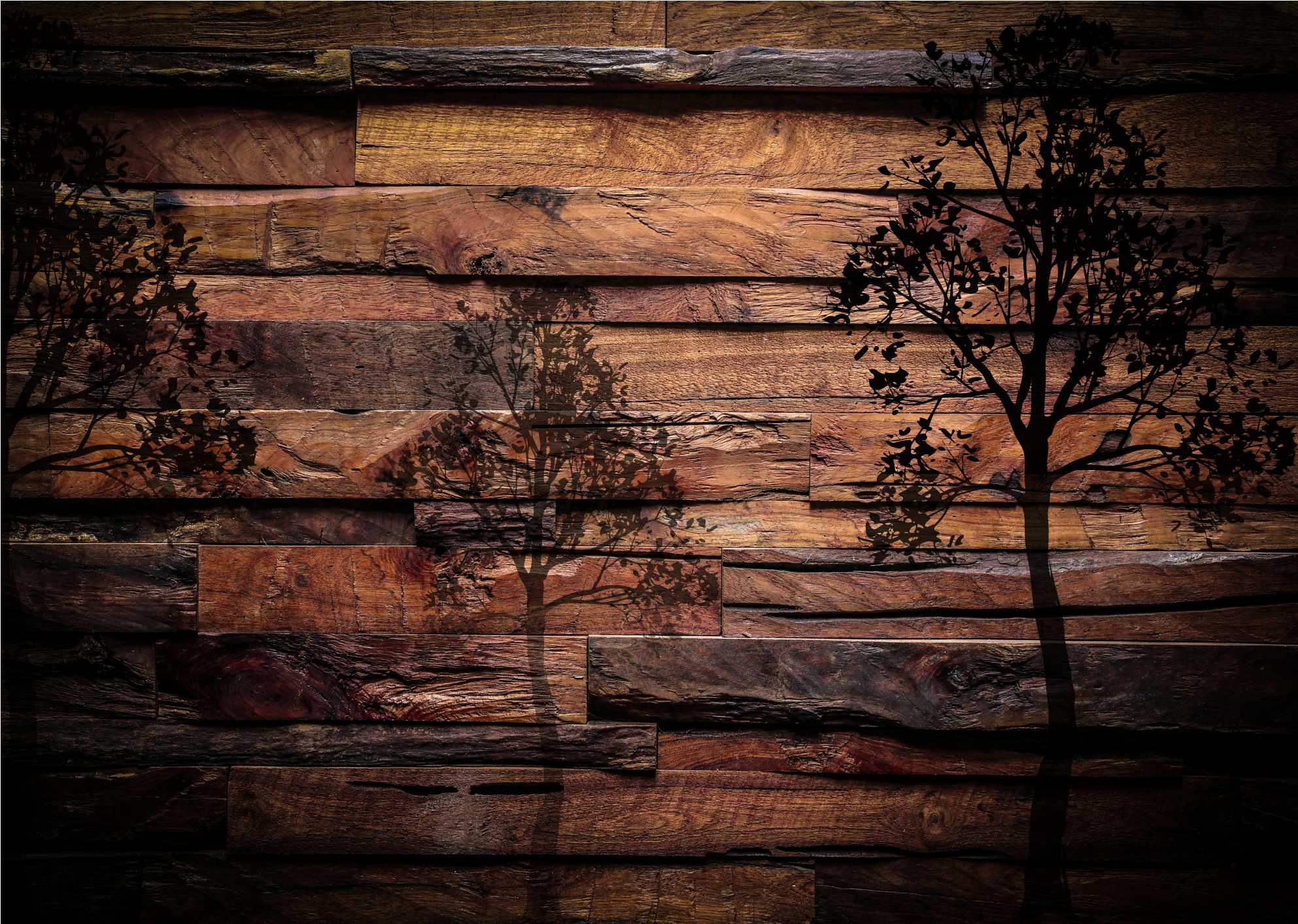 

Fototapety 3d Fizelin Drewno Deski 320x230 wybór