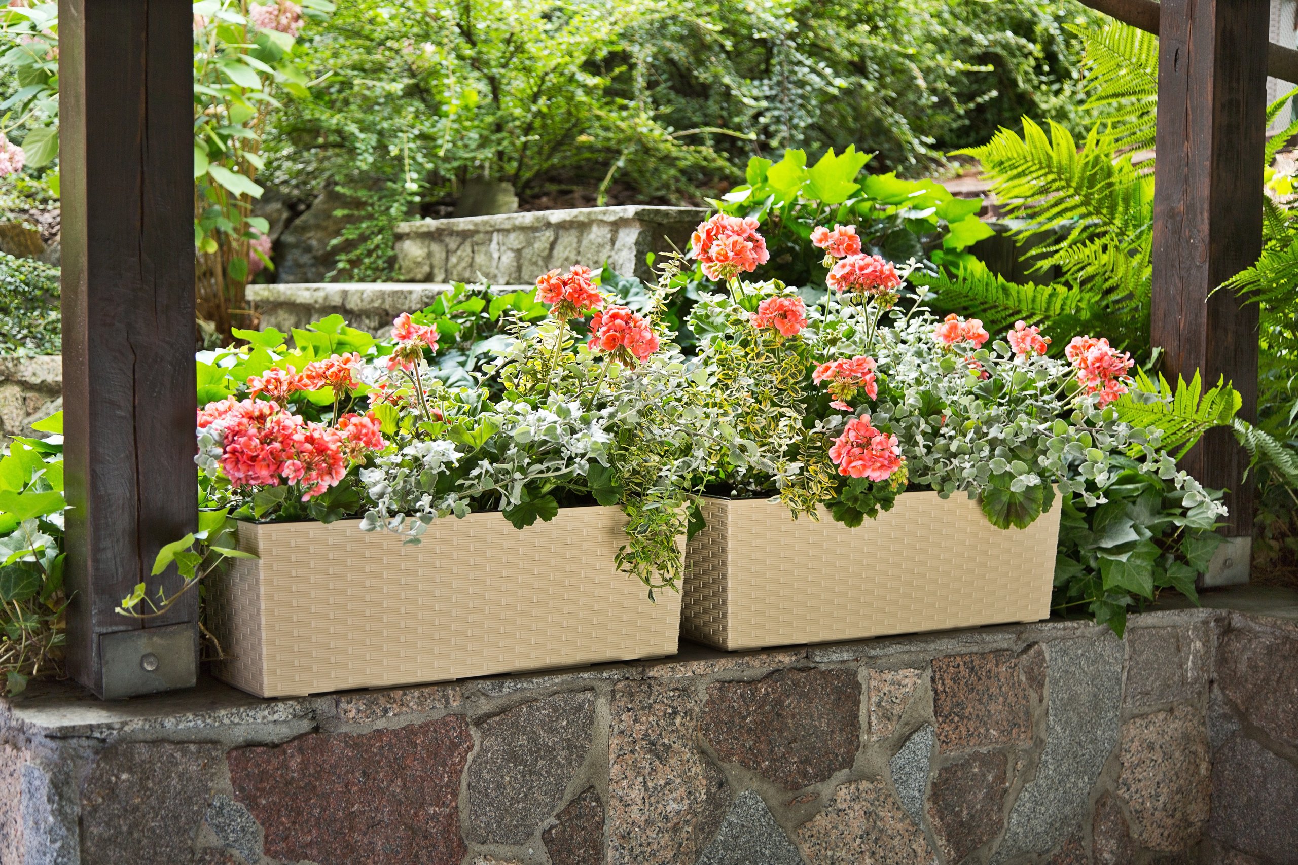 SKRZYNKA BEGONIA RATTAN 19x56 h29,5 WKŁAD BIAŁA Długość 56.1 cm