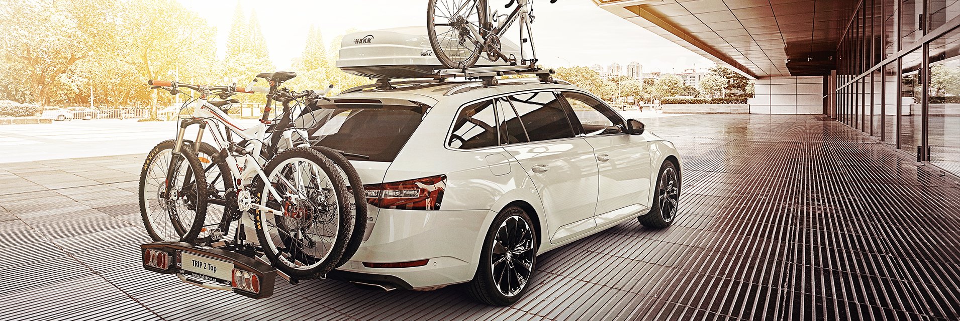 3b08e87a43f989281a38f5d5ae14