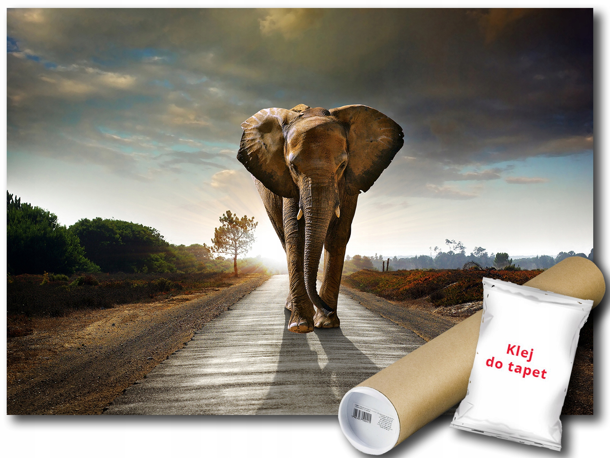 Fototapeta Slon 12C Fxl 208x146 F12616