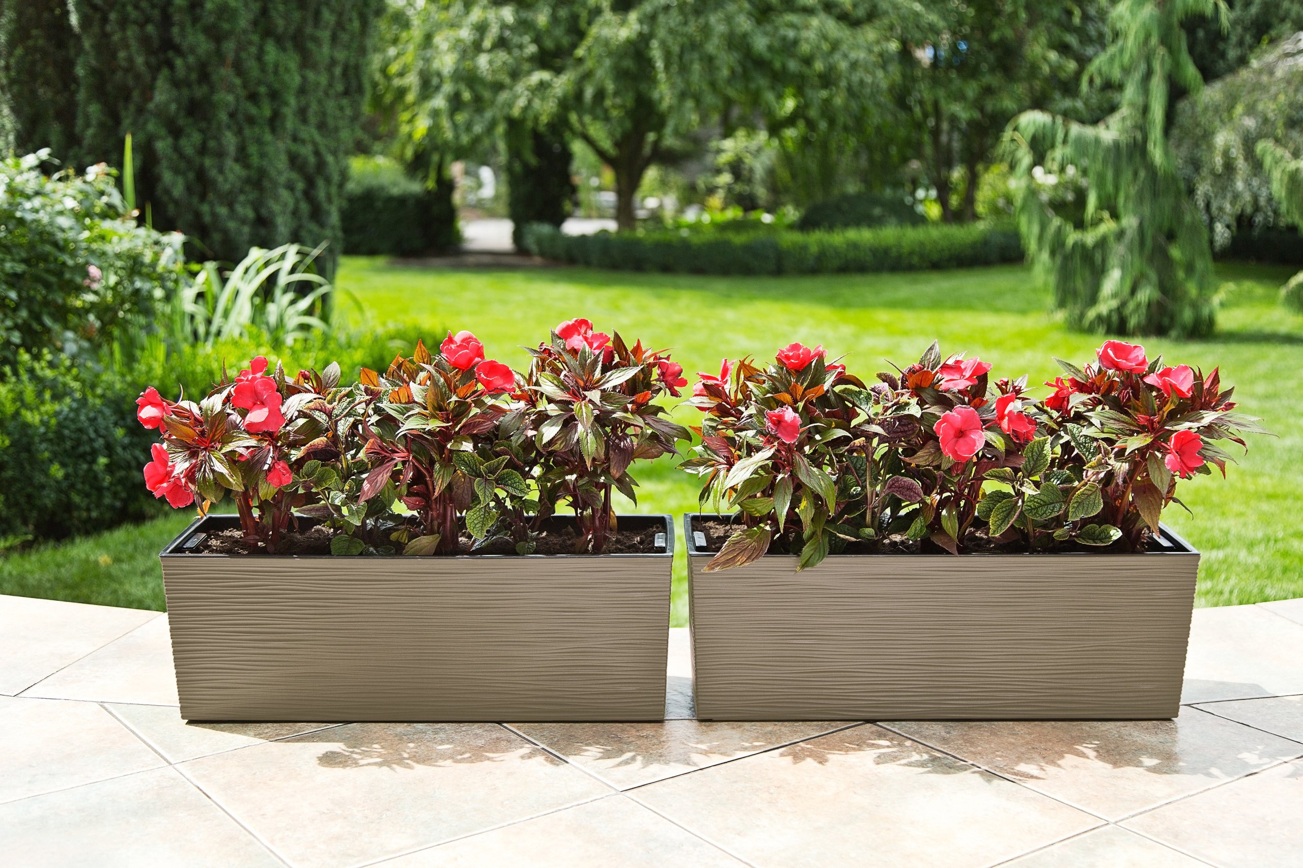 SKRZYNKA BEGONIA DŁUTO 19x56 h29,5 WKŁAD MOKKA Kształt Prostokątny