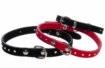 

Obroża Welur Z Cyrkonią Pies Kot 12mm/32cm $