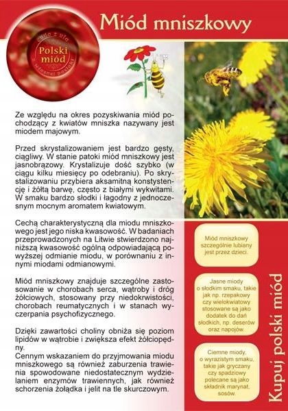 

Broszura informacyjna Miód Mniszkowy ul pasieka