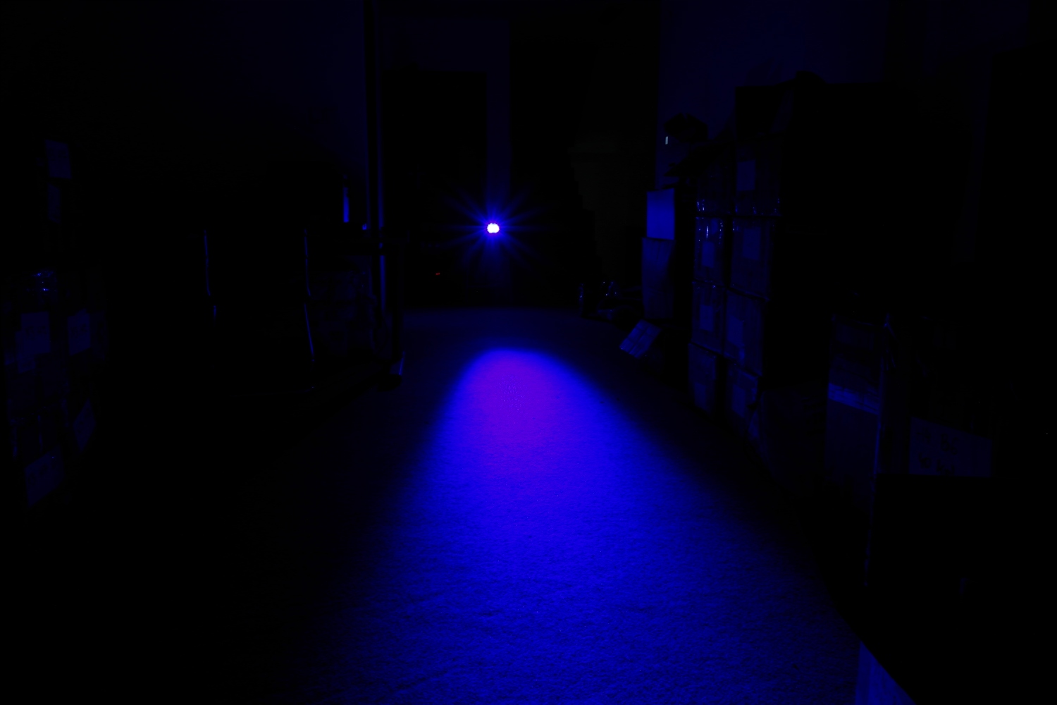 NIEBIESKA LAMPA ROBOCZA LED WIDLAK WÓZEK WIDŁOWY Numer katalogowy części WL12W X2