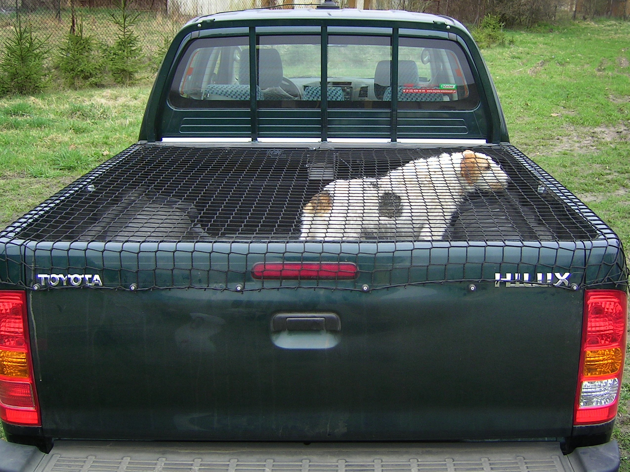 SIATKA plandeka do PICK UP'a - np.TOYOTA HILUX Producent Autosiatki