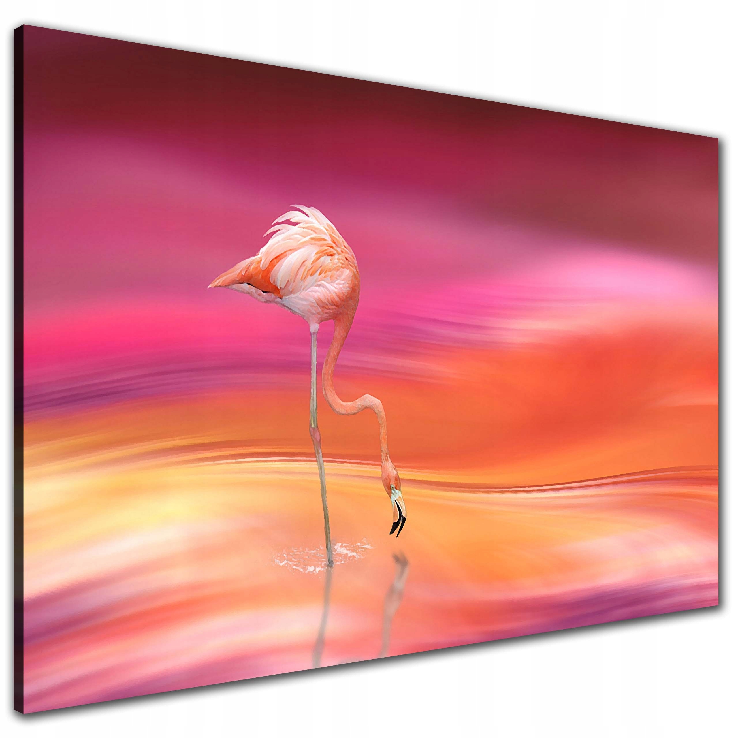 

Nowoczesny obraz na płótni 120x80 Różowy Flaming