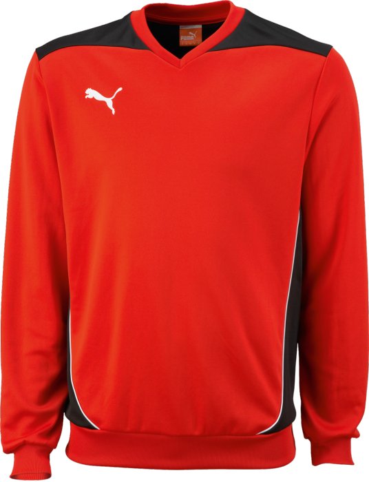 BLUZA PUMA FOUNDATION TRAINING SWEAT R.L