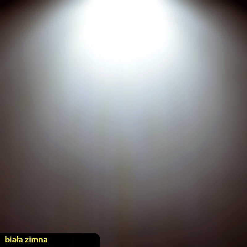 Panel LED natynkowy 6W PLAFON oprawa lampa zimna Marka Furnika